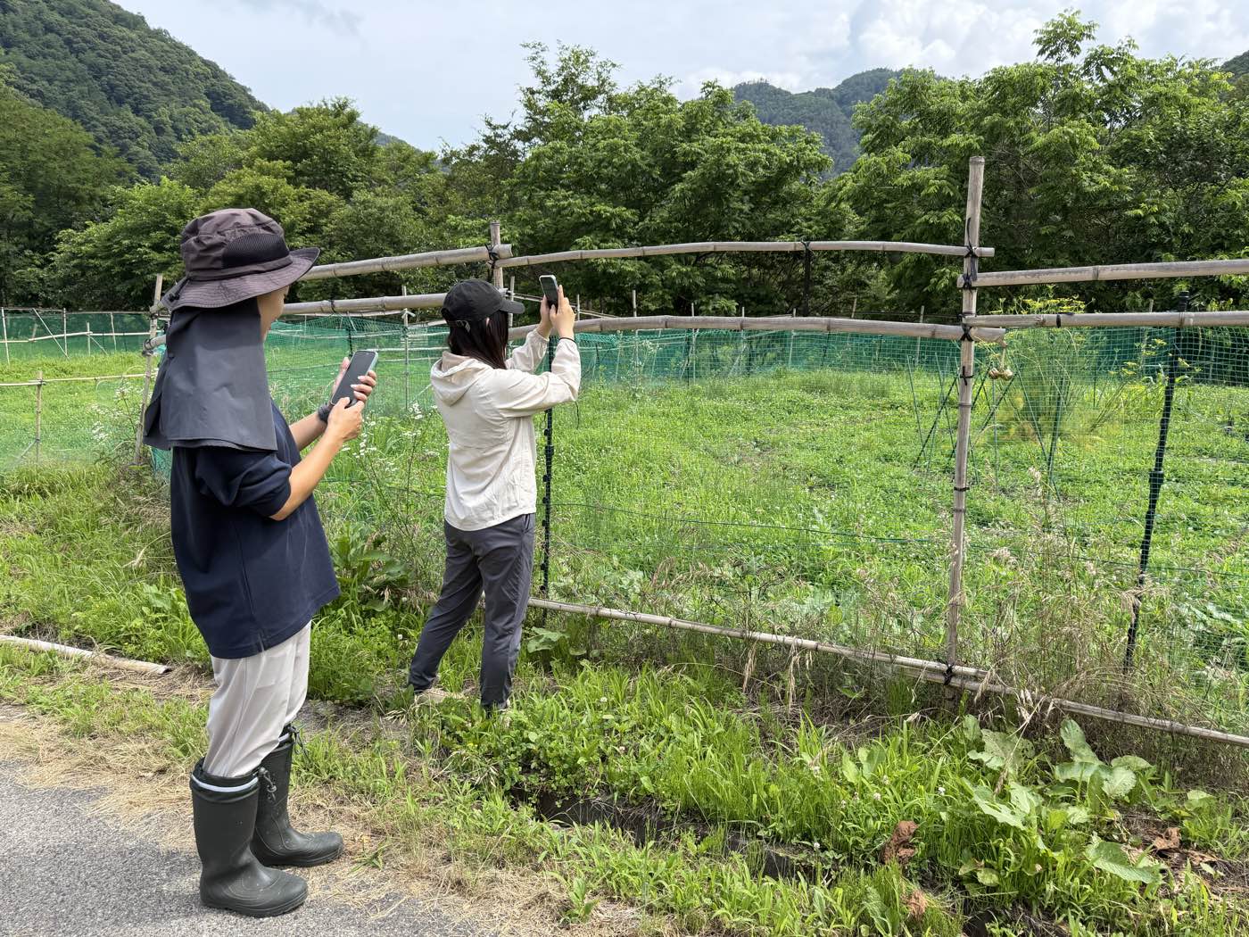 畑のまわりで動植物を観測する参加者